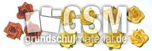 Blumen3+8.jpg